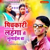 About Pichkari Lahanga Main Bhulail Ba Song